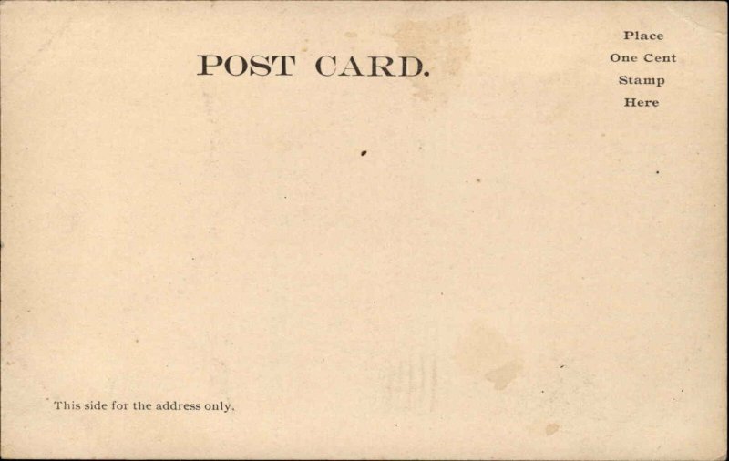 Sidney NY RR Train Station Depot Regiment Loading c1905 Postcard