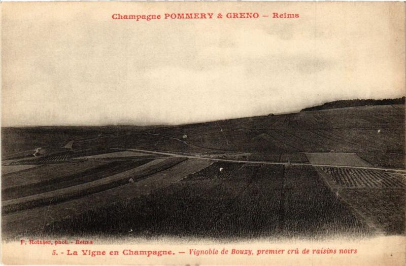 CPA Reims - La Vigne en Champagne (277336)