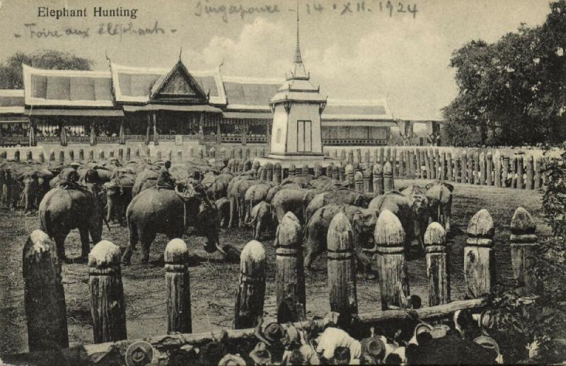 siam thailand, BANGKOK, Elephant Hunting (1924) Y. Ebata Postcard