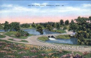 Old Mill Road - Dowagiac, Michigan MI Postcard