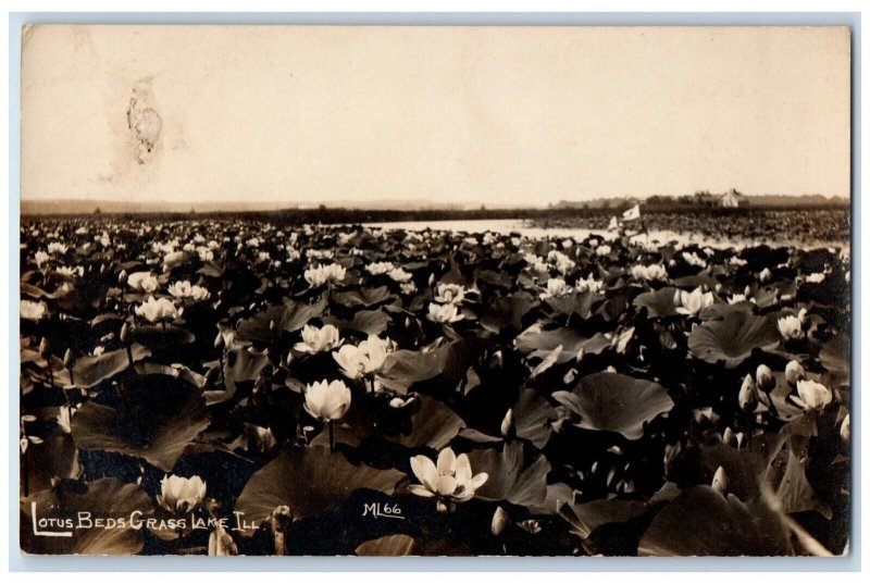 c1910's Lotus Beds Grass Lake Libertyville Illinois IL RPPC Photo Postcard 