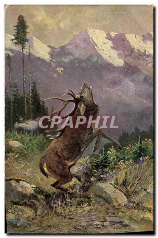 Old Postcard Deer Hunting