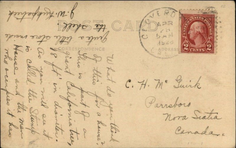 Eureka CA Stump House American Flag Peterson Real Photo Postcard c1920