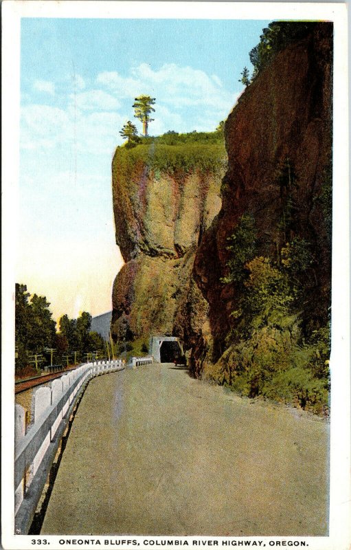 Vtg 1920s Oneonta Bluffs Tunnel Gorge Columbia River Highway Oregon OR Postcard