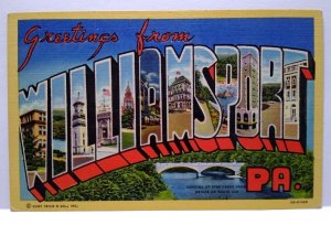 Greetings From Williamsport Pennsylvania Large Big Letter Postcard Linen PA