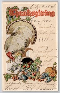 Thanksgiving Greetings Large Turkey Cherub Cornucopia Pumpkin 1906 Postcard K29