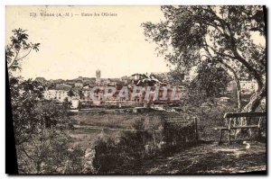 Old Postcard Vence Between the Olives