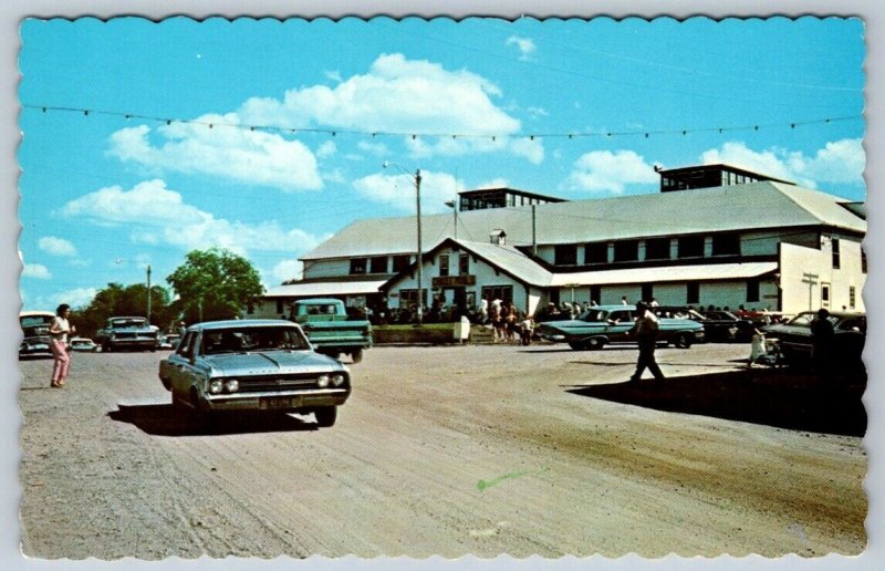 The Chalet Mineral Water Pool, Manitou Beach Watrous Saskatchewan 1960s Postcard