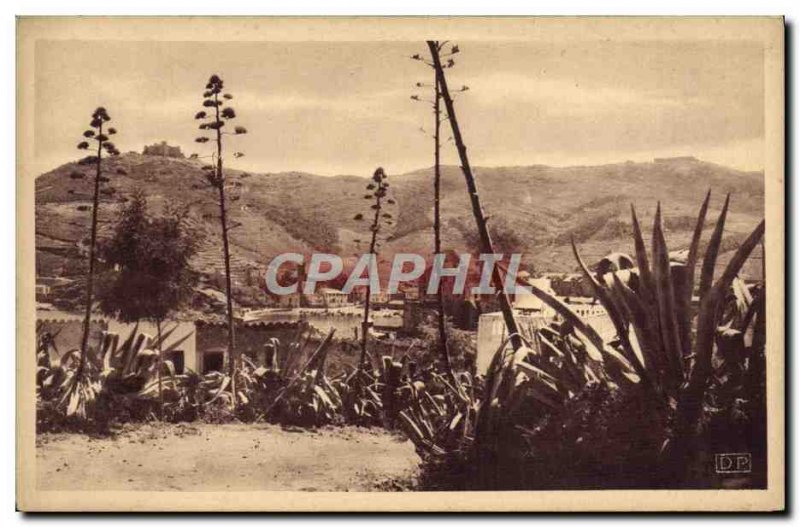 Old Postcard View of Collioure Miradou