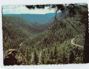 Postcard Switchbacks into Oak Creek Canyon Arizona USA