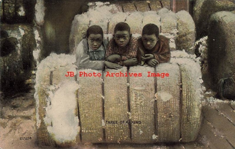 317485-Black Americana, Unknown No 217274, Three of a Kind, Boys on Cotton Bale