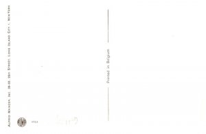 Cats in  Classroom, School   Alfred Mainzer no. 4964