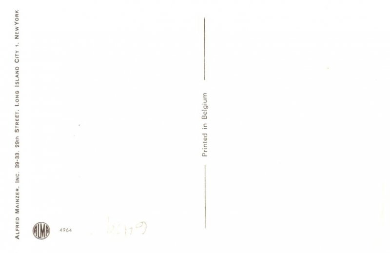 Cats in  Classroom, School   Alfred Mainzer no. 4964