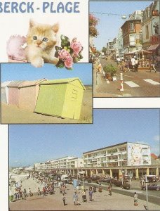 Views of Black-Plage, with a kitten Modern French tourist postcard