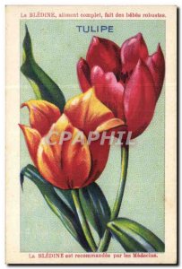 Image Bledine Tulip