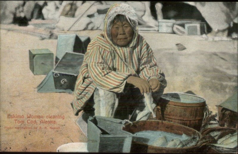 Eskimo Woman Cleaning Tom Cod Fish in Alaska AK AYPE #90515 Postcard 