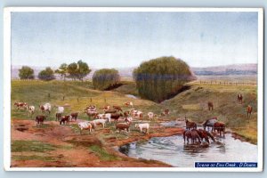 Queensland Australia Postcard Scene on Emu Creek D Downs  c1930's Vintage