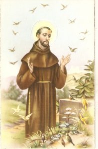 St. Francis with the doves Nice Spanish religious postcard 1940s