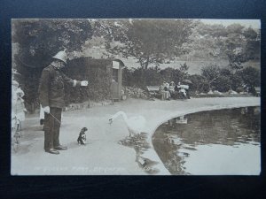 Sussex BRIGHTON Queens Park POLICEMAN SWAN & PUPPY DOG c1908 Postcard