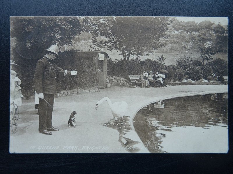 Sussex BRIGHTON Queens Park POLICEMAN SWAN & PUPPY DOG c1908 Postcard