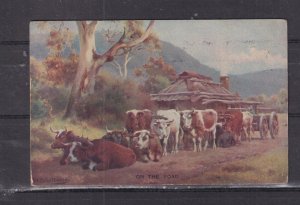 VICTORIA, ??, CATTLE, HOMESTEAD, 1907 SWALLOW & ARIELL'S BISCUITS & CAKES ppc.