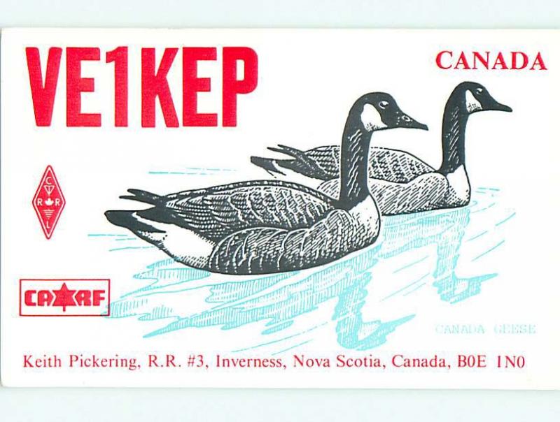 Canada Goose Bird - Qsl Ham Radio Card Inverness Nova Scotia Ns Canada t1419