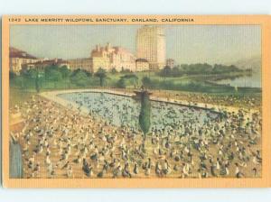 Unused Linen BIRD SANCTUARY Oakland California CA HM8947