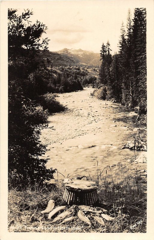 J5/ North Idaho RPPC Postcard c1940s Fishing Catch River Basket 98