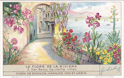 Liebig Trade Card s1354 Flora Of The Riviera No 3 San Remo La vieille ville