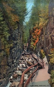 Vintage Postcard 1938 Flume Gorge Roadway Trail White Mountains New Hampshire NH