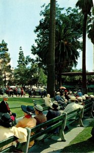 California Long Beach Municipal Park Band Concert