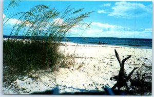 Postcard - Beautiful white sandy beach on Florida's coasts - Florida