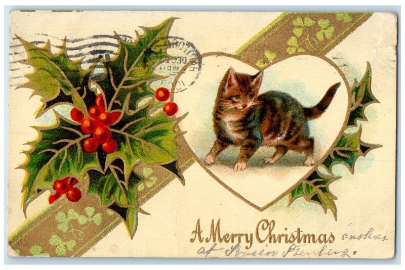 1908 Merry Christmas Cat Kitten Holly Berries Hartford Connecticut CT Postcard