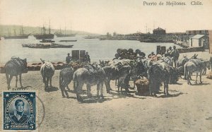 Chile Puerto Mejillones harbor sailing vessels loaded donkeys vintage postcard