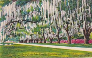 Louisiana New Orleans De La Ronde Oaks Versailles Plantation 1955