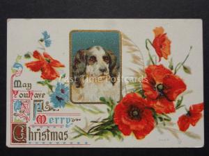 Poppies Postcard: A Merry Christmas shows Spaniel Dog  - Donation to R.B.L.