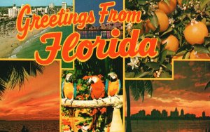 Greetings From Florida Land Of Sunshine & Beauty Attractions, Vintage Postcard