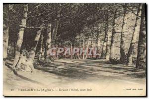 VINTAGE POSTCARD Algerie Hamman R' Hira Devant the hotel under wood 