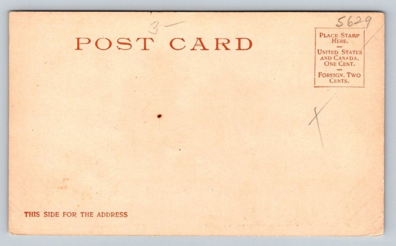 1900  Confederate General  Robert E. Lee Mansion Arlington Virginia   Postcard