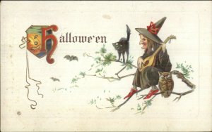 Halloween - Witch on Brand Playing Guitar Stecher 332C c1910 Postcard