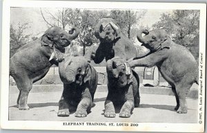 Elephants Performing, Training St. Louis Zoo MO c1947 Vintage Postcard E03