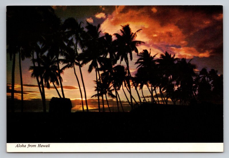 Aloha From Hawaii Sunset Palm Trees Vintage Unposted Postcard