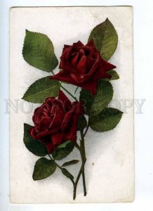 235080 Great dark red ROSE Flowers Vintage Alpha postcard