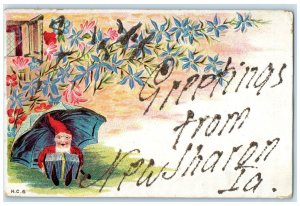 1907 Greetings From Glitter Flowers New Sharon Iowa IA Vintage Antique Postcard