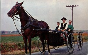 Greetings From Pennsylvania Dutch Country Amish Buggy Horse Postcard UNP VTG 