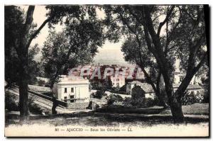 Old Postcard Ajaccio Under the Olive Trees