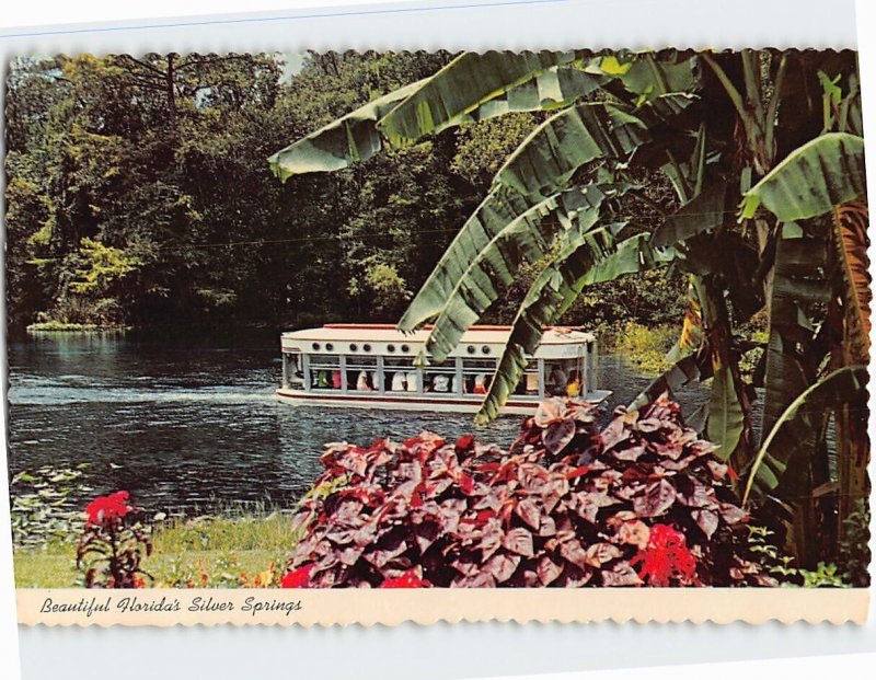 Postcard Beautiful Florida's Silver Springs, Florida