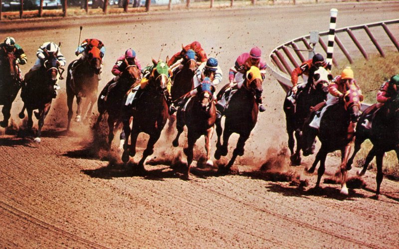 NY - Saratoga Springs. Saratoga Race Track, Horse Racing