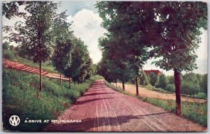 1908 A Drive Mt. Munakga Roadway Farm Flower Garden Landscapes Posted Postcard