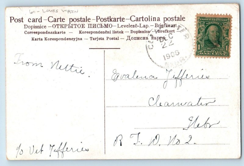 Louis Wain Postcard Anthropomorphic Cat Hunting Clearwater Nebraska NE 1908